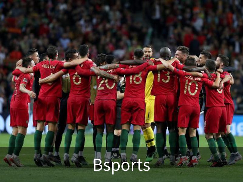 Bsports概况